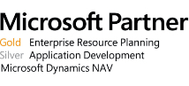 Microsoft Partner Logo